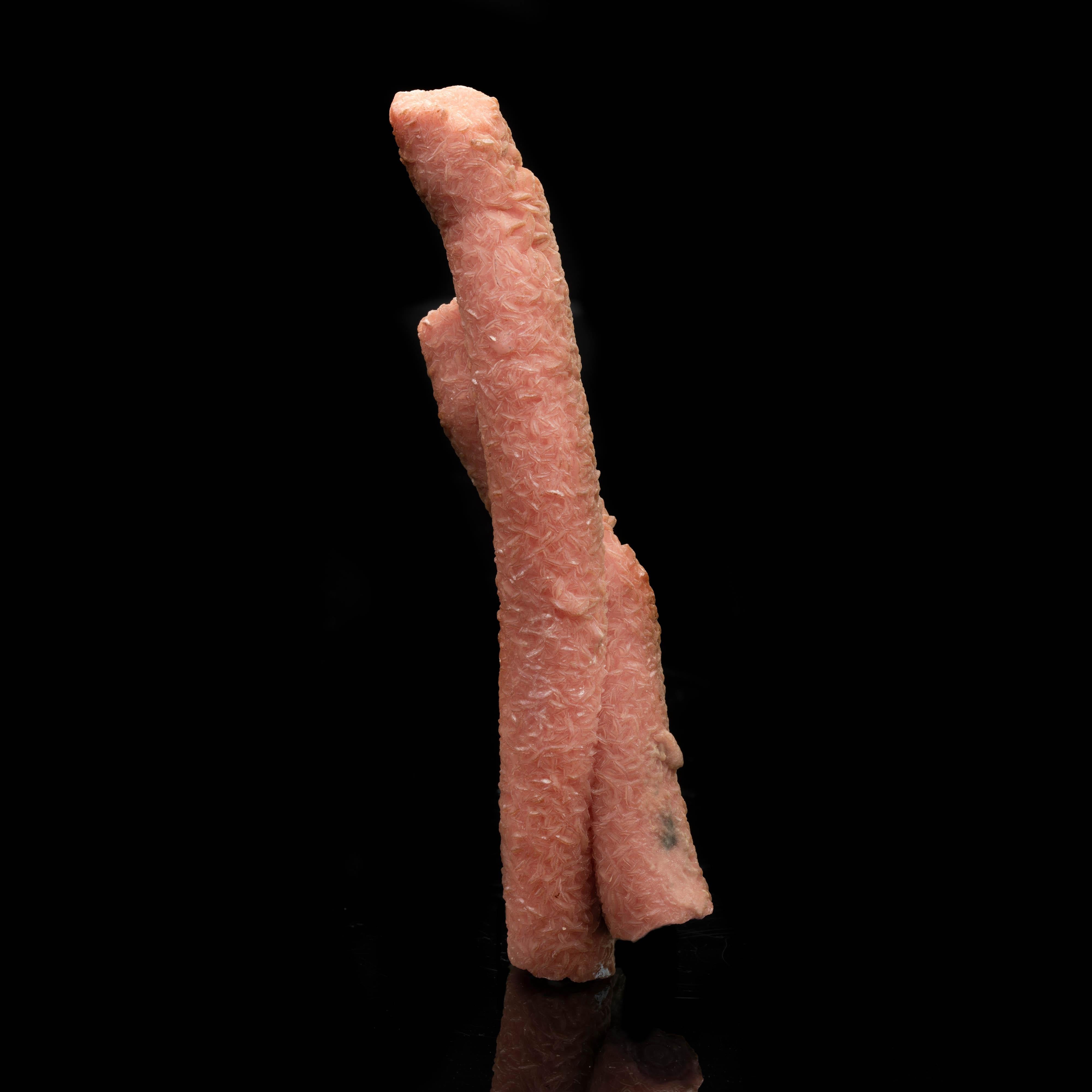 These unique rhodochrosite stalactites from Argentina are a rare find. Formed from precipitation off of manganese-rich rocks inside the tunnels of Argentinian silver mines and only found in the 13th century, they grew over hundreds of years into