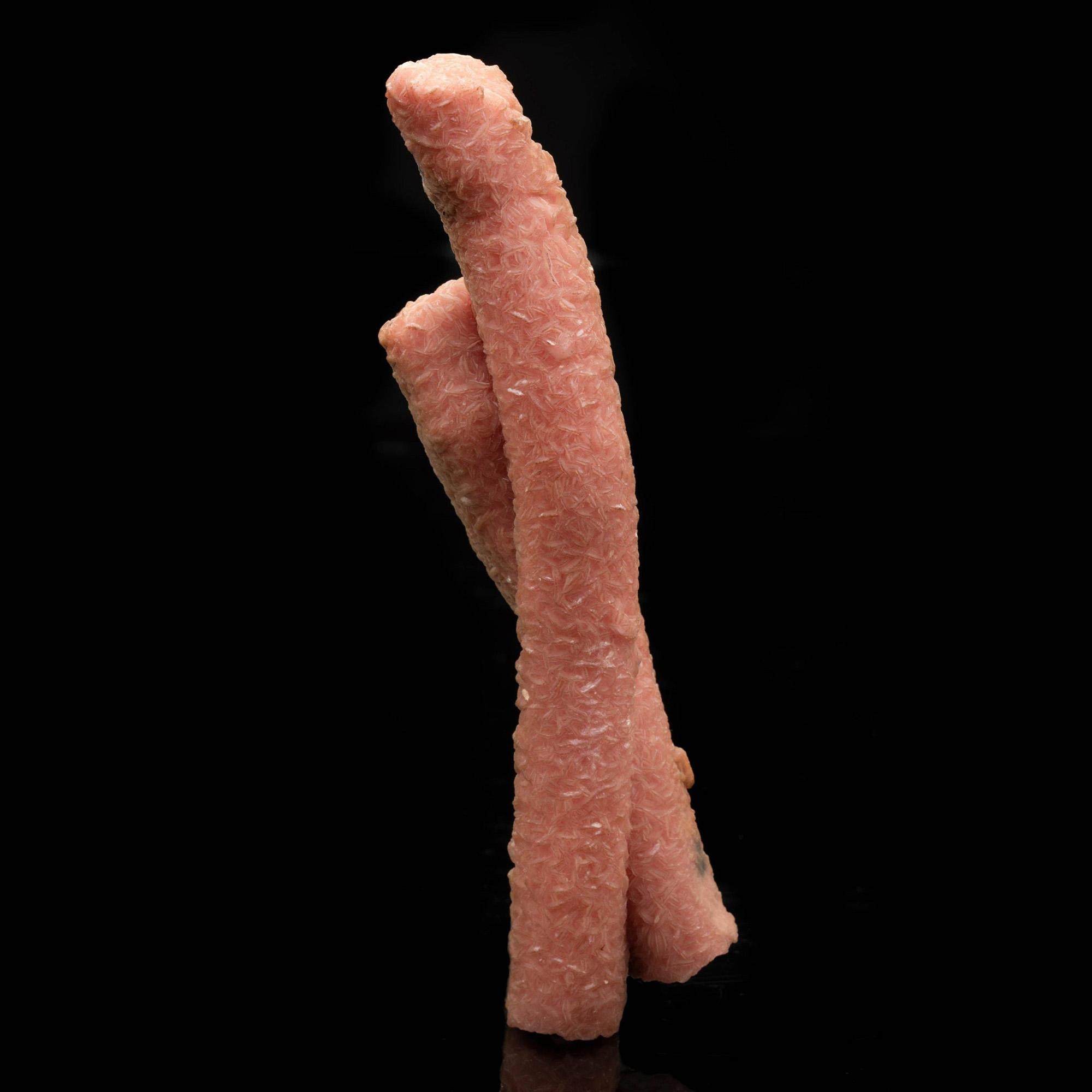 From Argentina, these rare intertwined rhodochrosite stalactites are a geological marvel.

Formed through the slow precipitation of manganese-rich solutions deep within Argentinian silver mines, these natural sculptures developed over centuries into