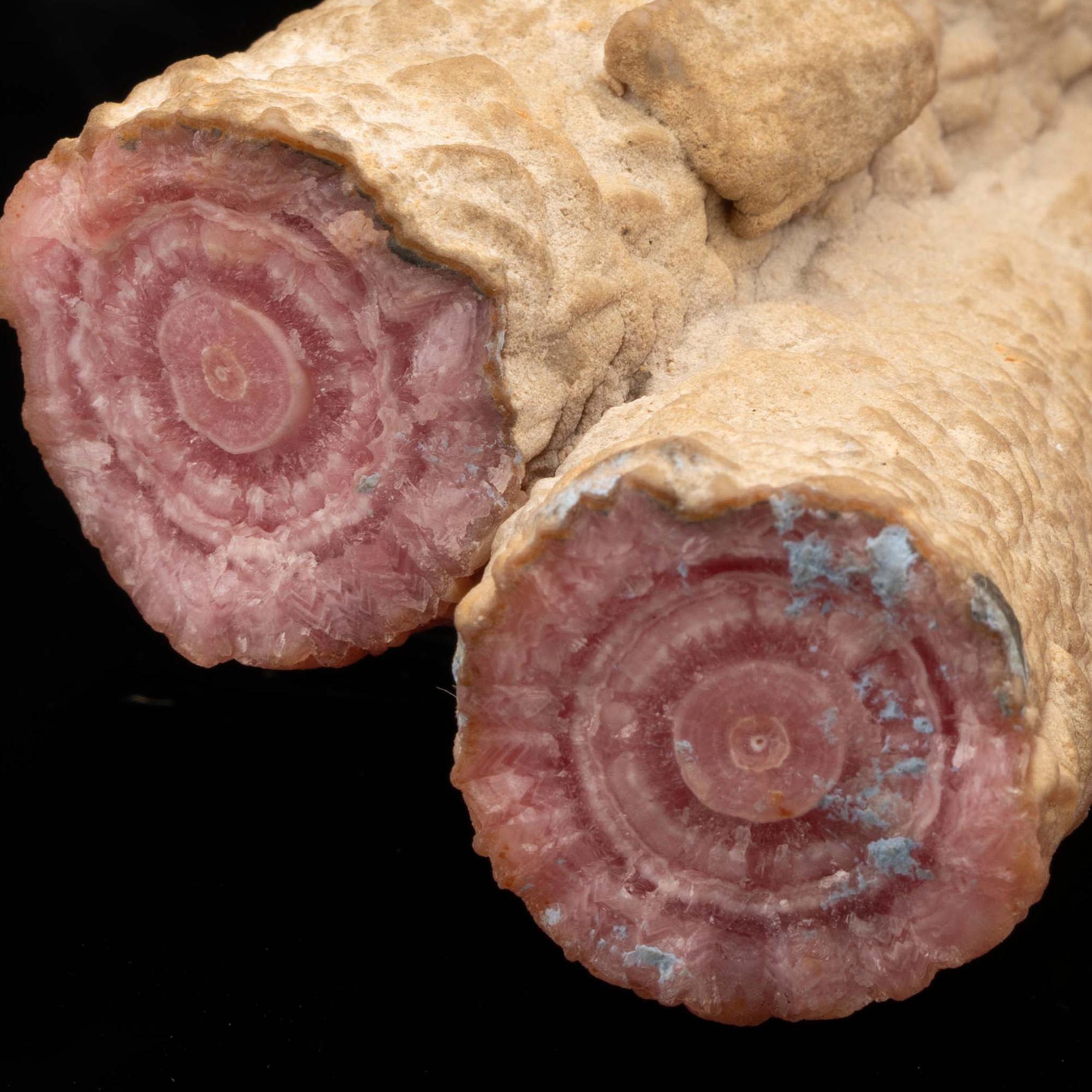 Rhodochrosite Stalactites From Argentina For Sale 1