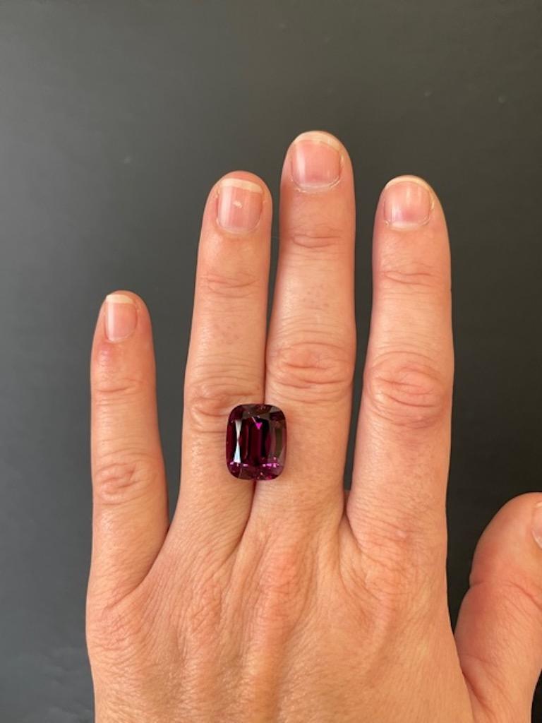 Prächtiger 16,44-Karat-Edelstein im Smaragdschliff aus lila Rhodolith-Granat, der einem begeisterten Edelsteinsammler ungefasst angeboten wird.
Abmessungen: 15.10 mm x 12,10 mm x 9,50 mm.
Rücksendungen werden von uns innerhalb von 7 Tagen nach