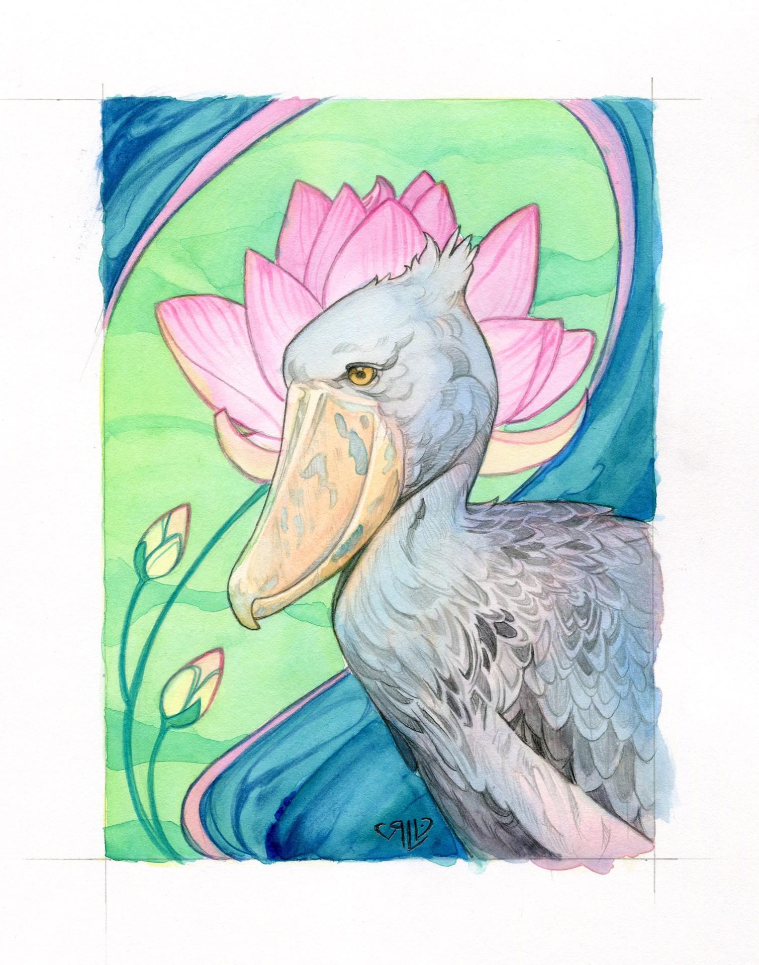 Shoebill Stork