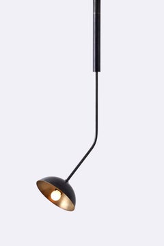 Rhythm 1 Brass Dome Pendant Lamp by Lamp Shaper