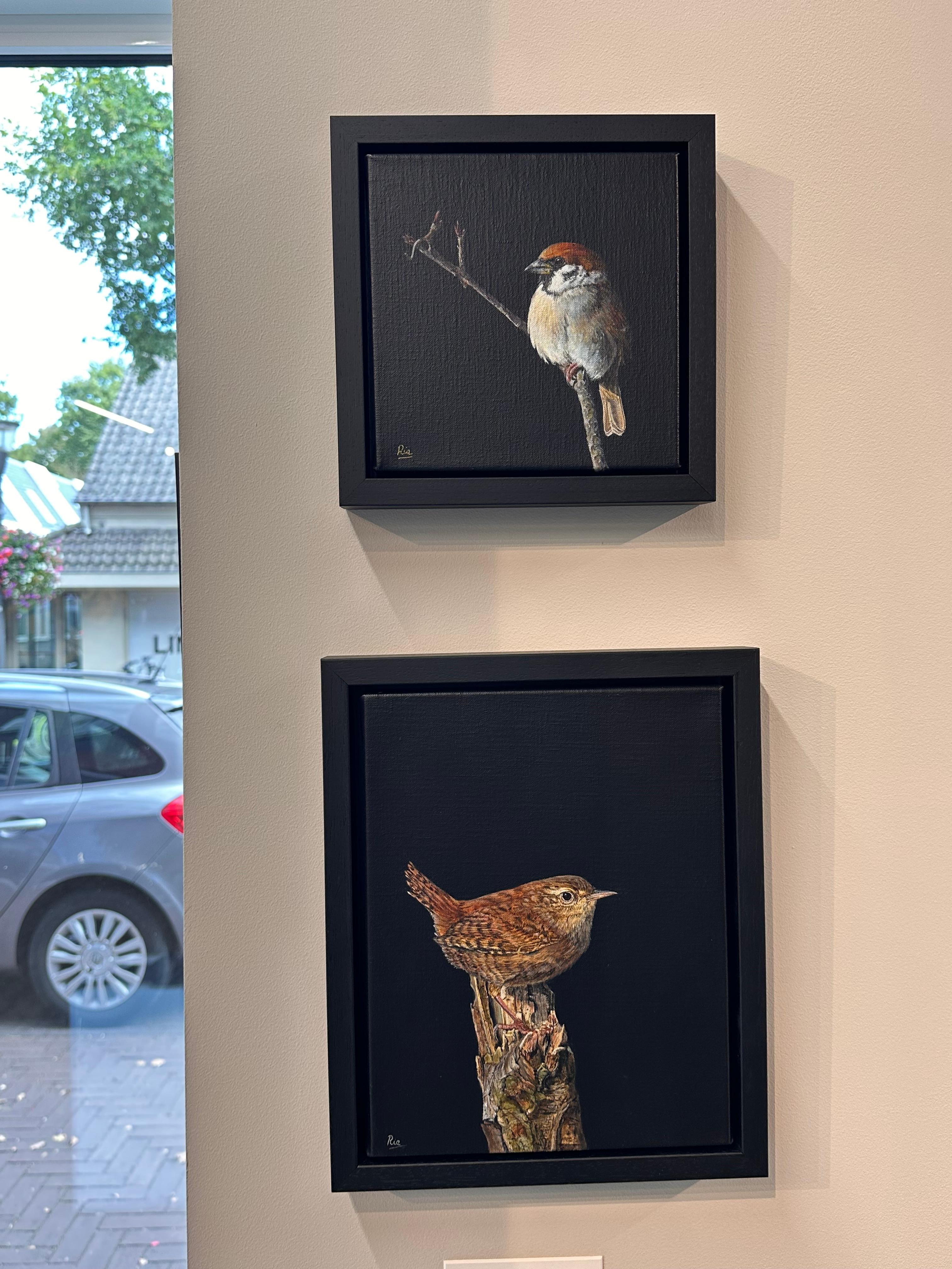 - 21. Jahrhundert Zeitgenössische realistische Malerei von einem Vogel (Schwarz), Animal Painting, von Ria Koreman