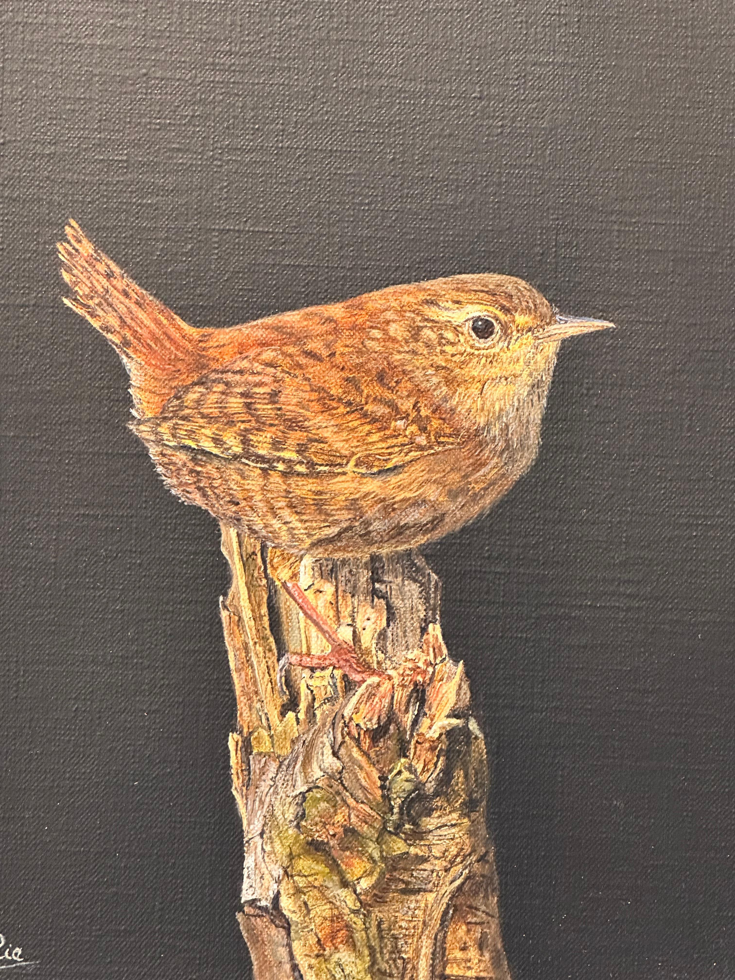 Ria Koreman
Zaunkönig
30 x 24 cm (gerahmt im Preis enthalten 35 x 29 cm)

Ria Korenman malt, was viele Menschen übersehen: den Zauber des Alltags. Vor allem Vögel, wobei ich ein Faible für den Spatz habe. Nicht, weil sie selten ist, sondern weil sie
