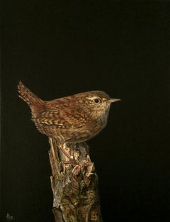 Pinturas de animales