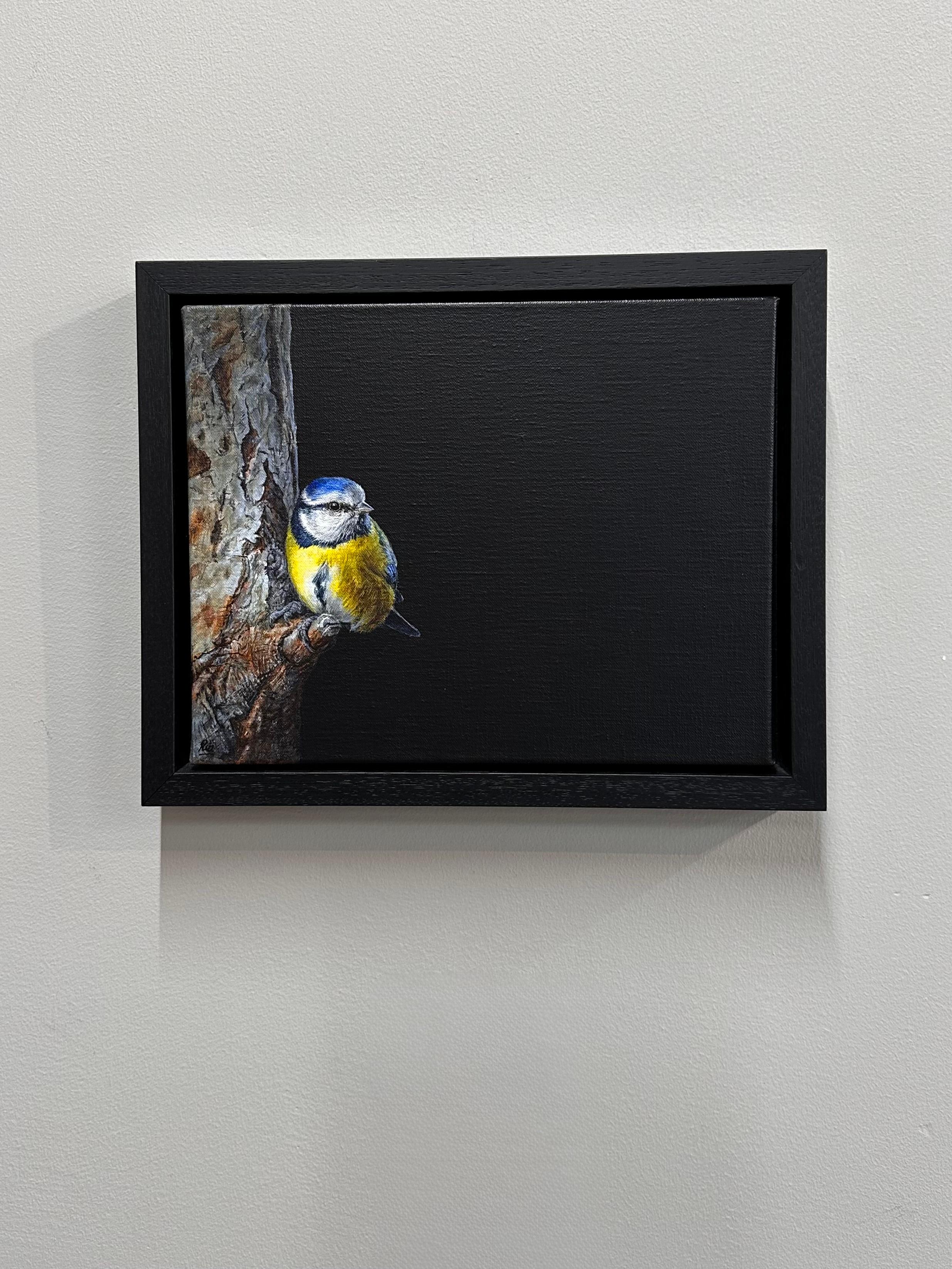 Blaumeise - 21. Jahrhundert Zeitgenössische realistische Malerei von einem Vogel – Painting von Ria Koreman