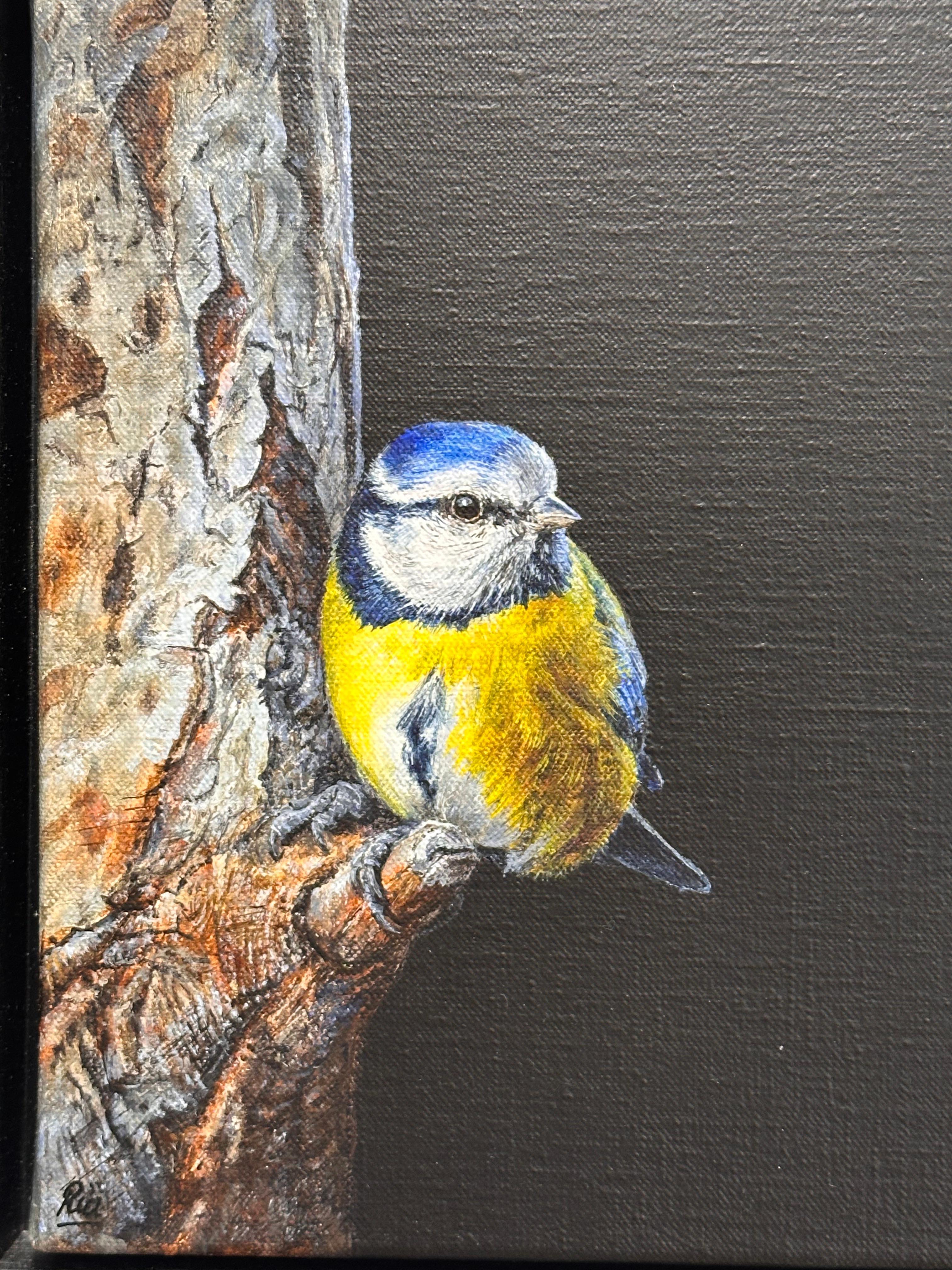Blaumeise - 21. Jahrhundert Zeitgenössische realistische Malerei von einem Vogel (Schwarz), Animal Painting, von Ria Koreman