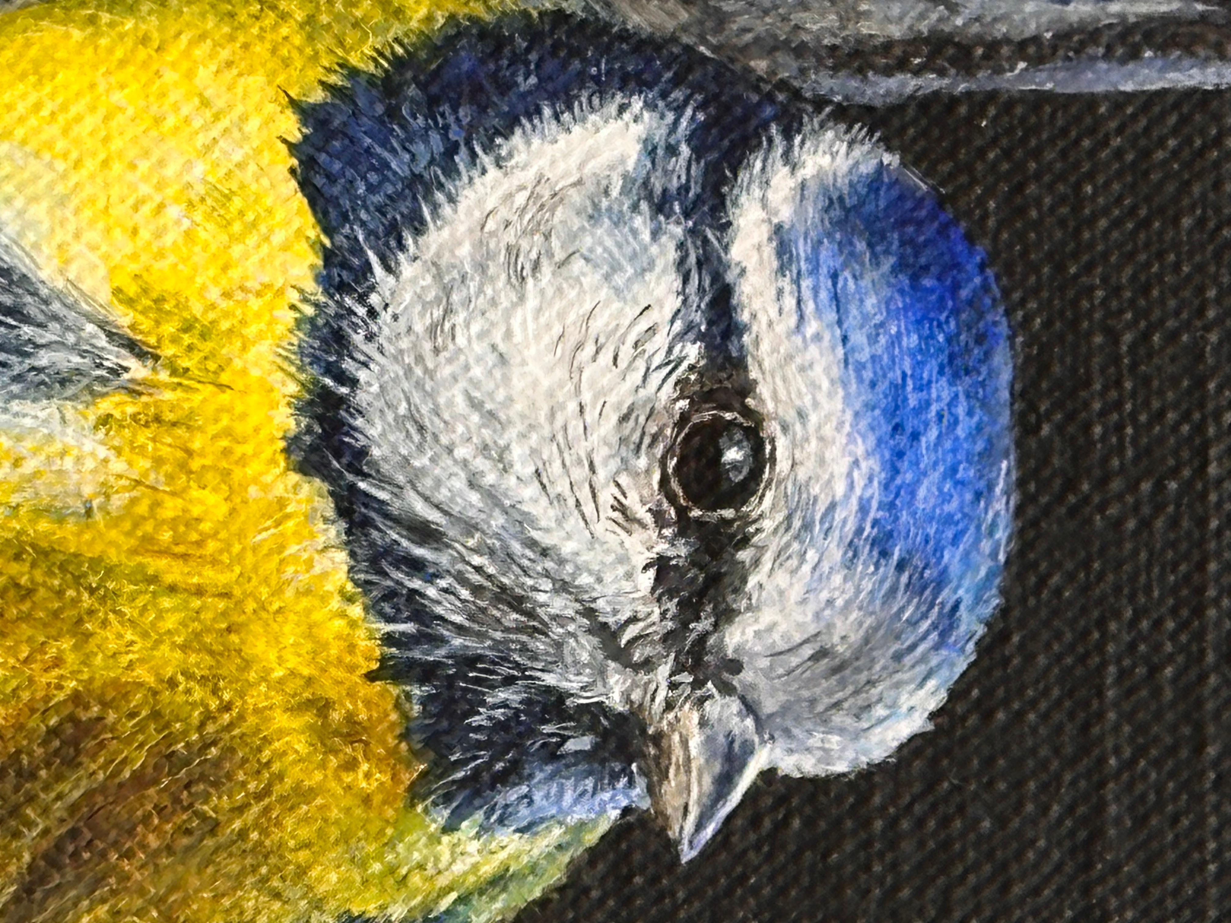 Ria Koreman
Blaumeise
30 x 24 cm (gerahmt im Preis enthalten 35 x 29 cm)

Ria Korenman malt, was viele Menschen übersehen: den Zauber des Alltags. Vor allem Vögel, wobei ich ein Faible für den Spatz habe. Nicht, weil sie selten ist, sondern weil sie