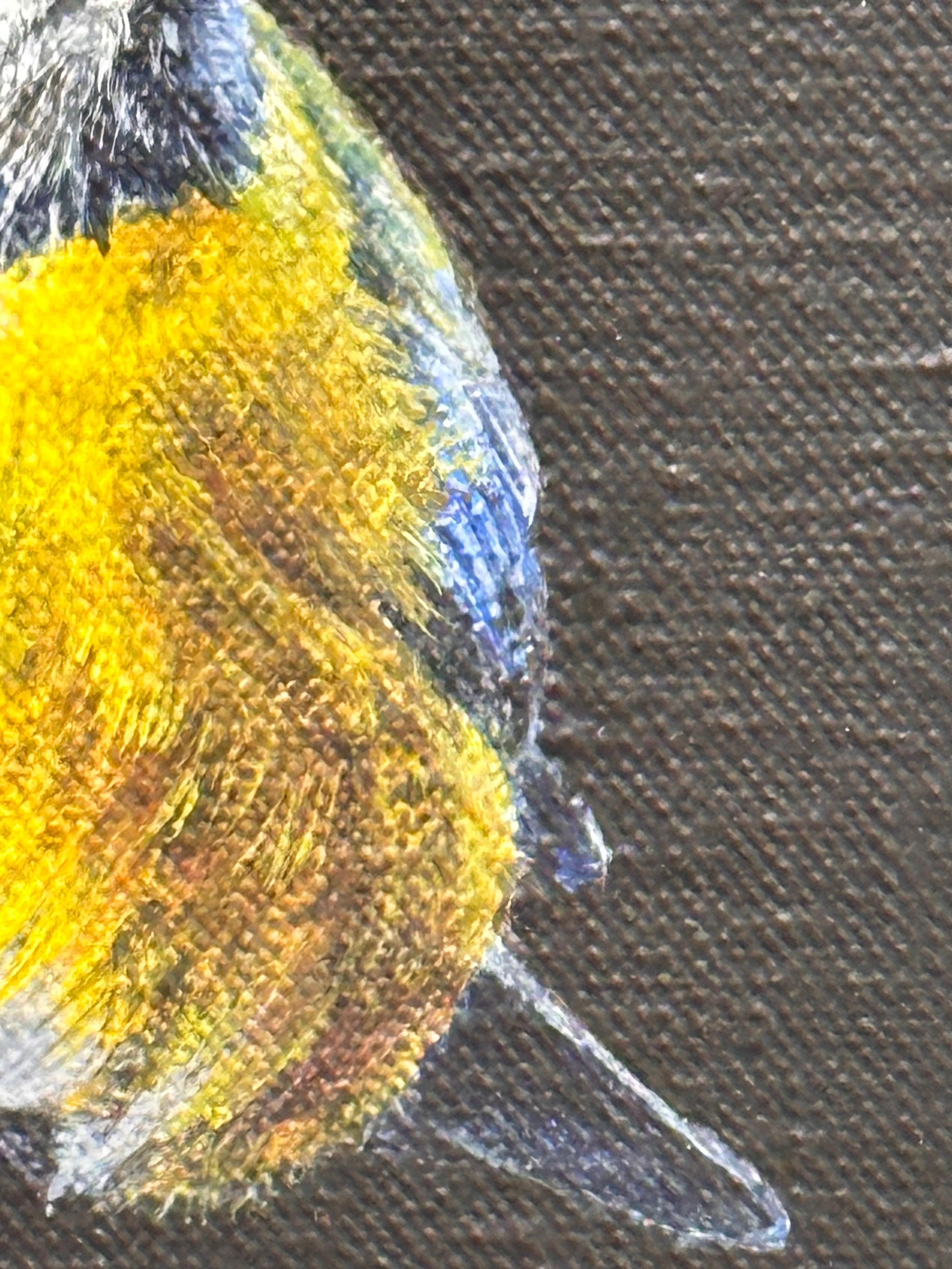Blaumeise - 21. Jahrhundert Zeitgenössische realistische Malerei von einem Vogel im Angebot 1