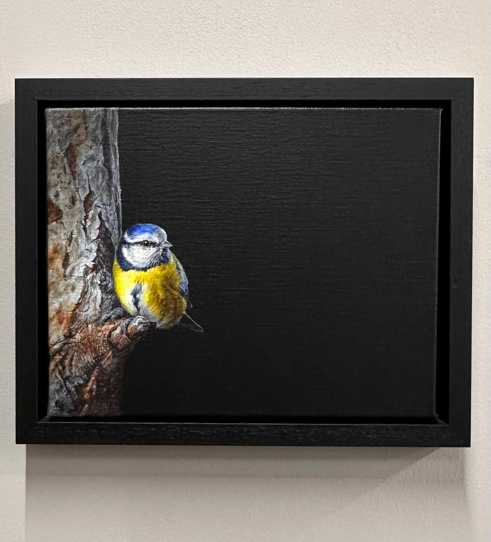 Blaumeise - 21. Jahrhundert Zeitgenössische realistische Malerei von einem Vogel im Angebot 2