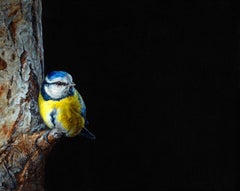 Animal Paintings