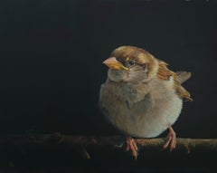 Animal Paintings
