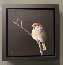 Moineau friquet - 21e siècle Peinture réaliste contemporaine d'un oiseau
