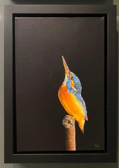 Gorrión arbóreo - Siglo XXI Pintura realista contemporánea de un pájaro