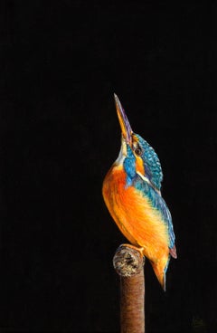 Passero dell'albero - Pittura realistica di un uccello del XXI secolo