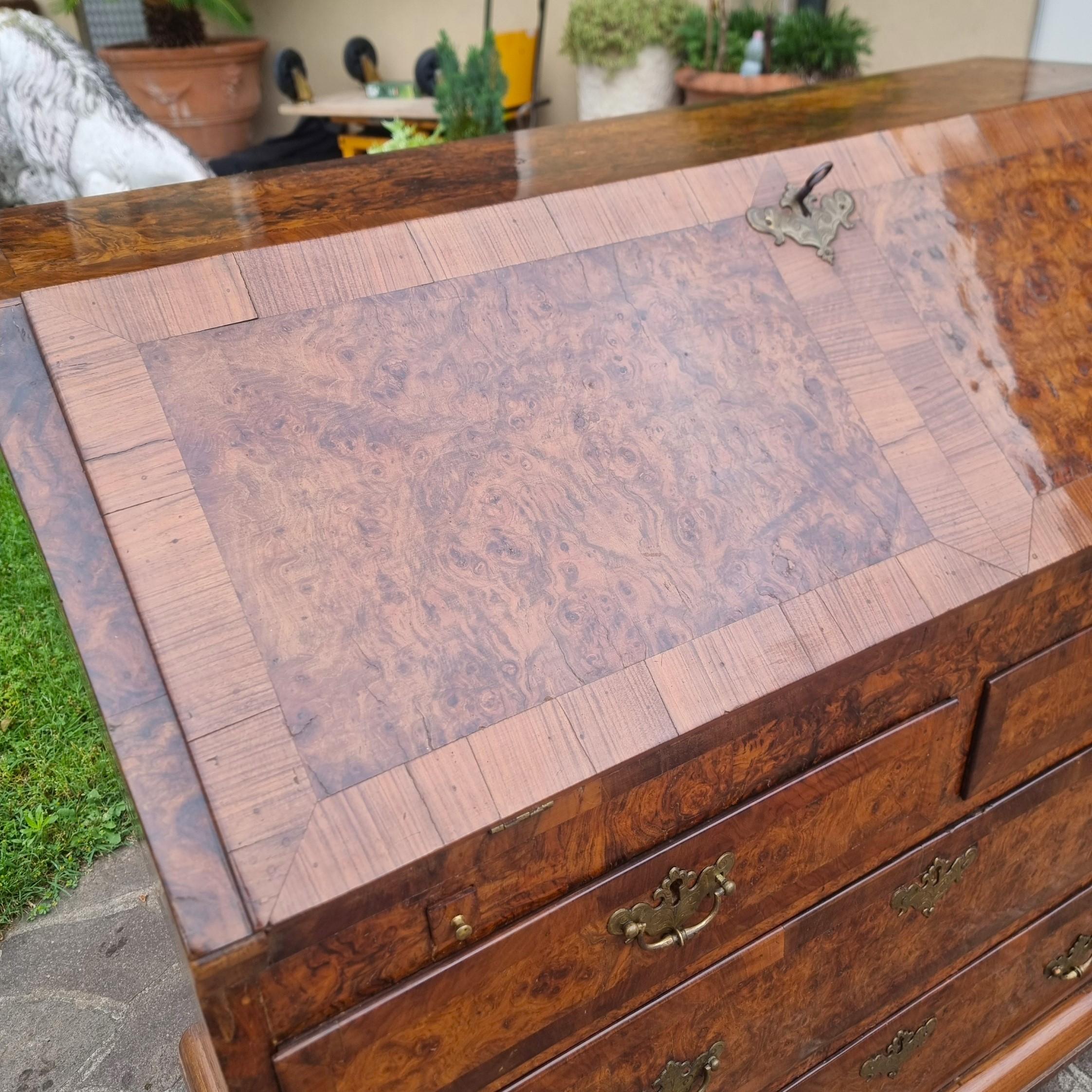 English walnut and elm burl walnut tilt of the 1700s For Sale 2