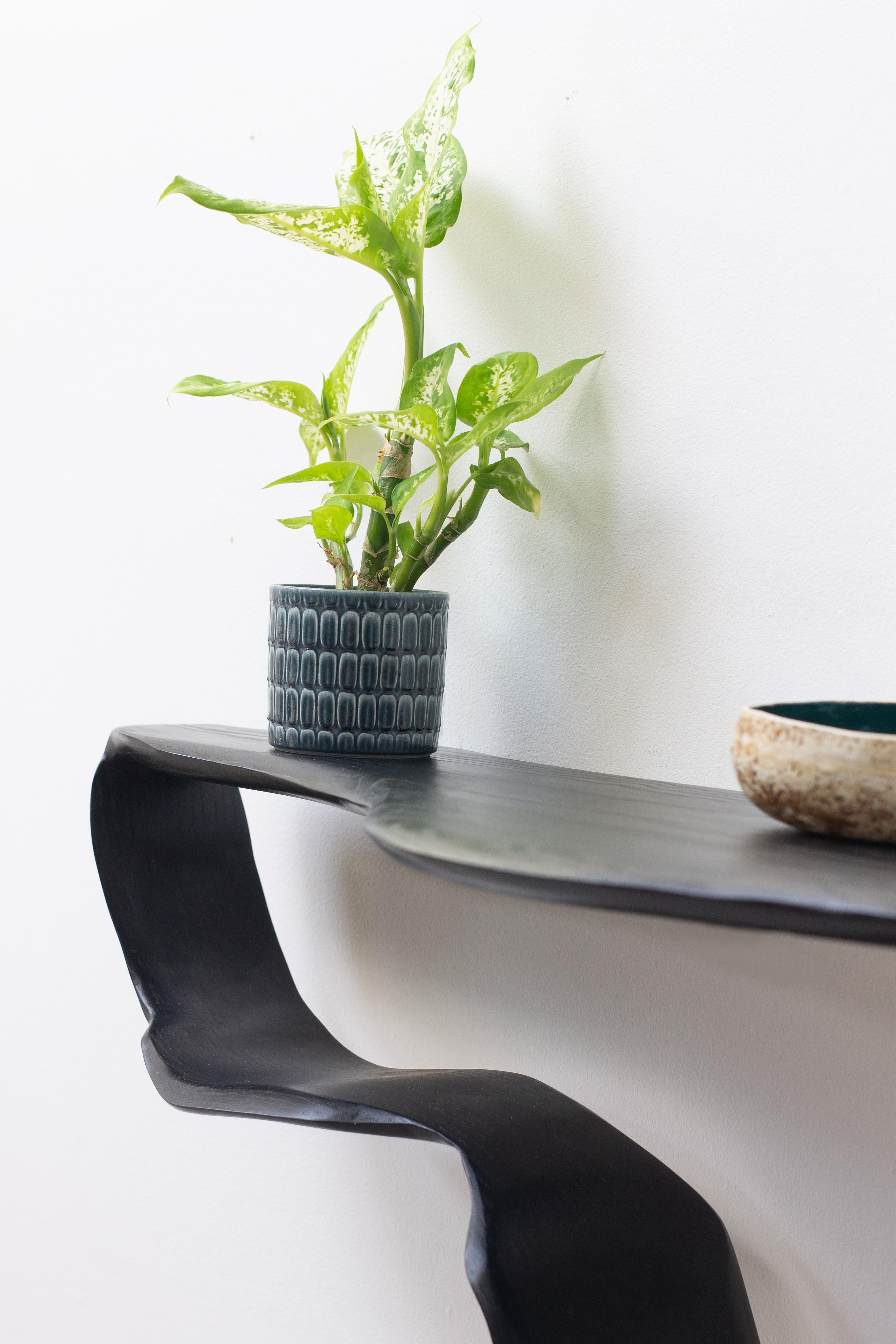 Organic Modern Ribbon Console Table  For Sale