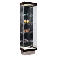 Ribbon Vitrine Model 7711 by Vladimir Kagan