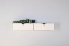 Wall Mounted Console w/ Doors, Ivory Wood & Bronze Ribbon Hardware by Debra Folz