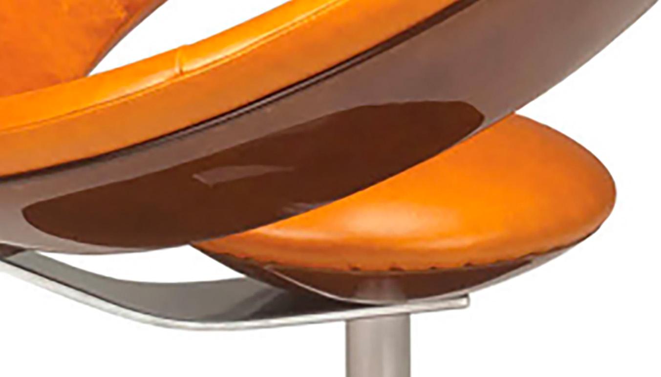 Ricardo Fasanello, Sillón 