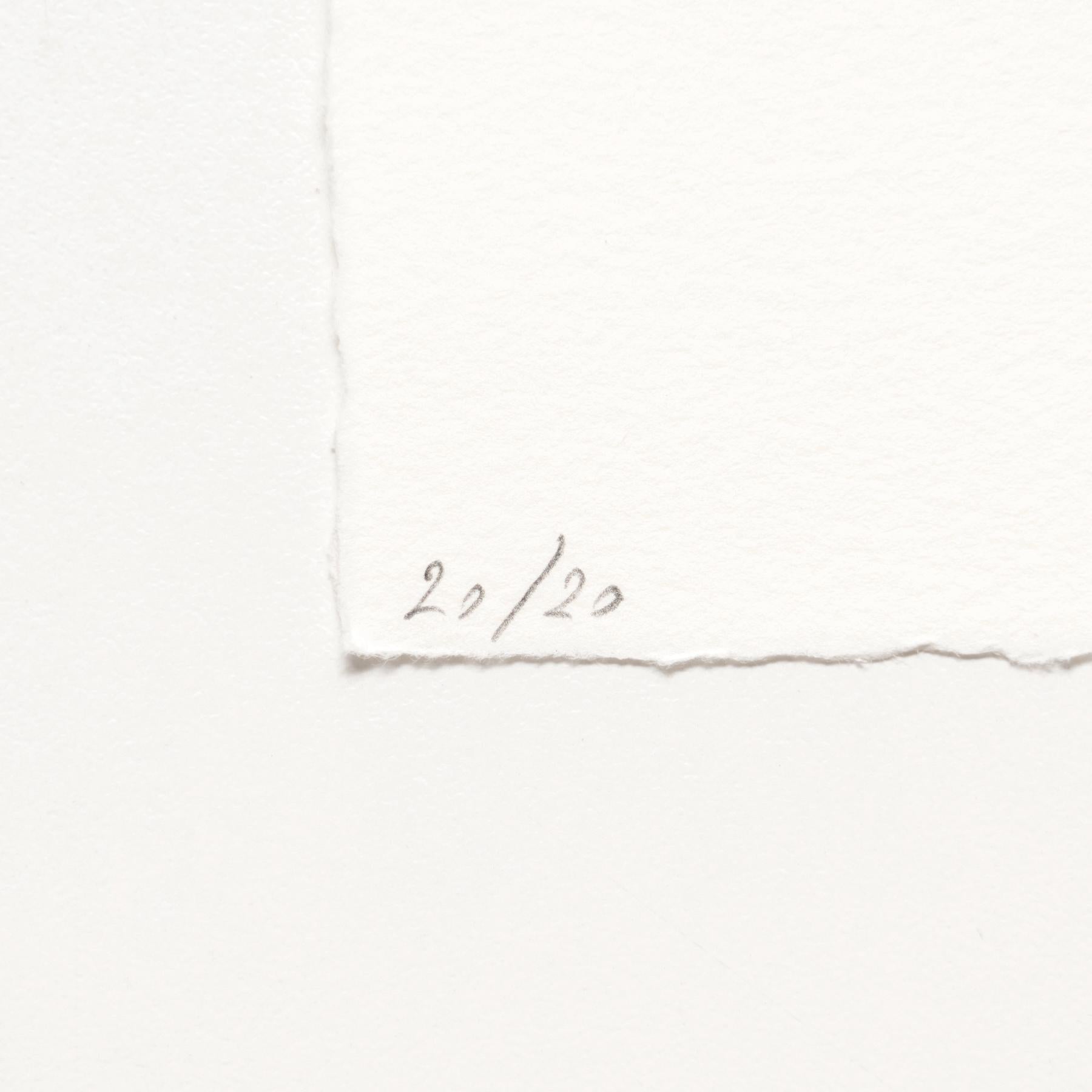 Ricardo Lanzarini Etching 'Biennale', 2020 In Good Condition For Sale In Barcelona, Barcelona