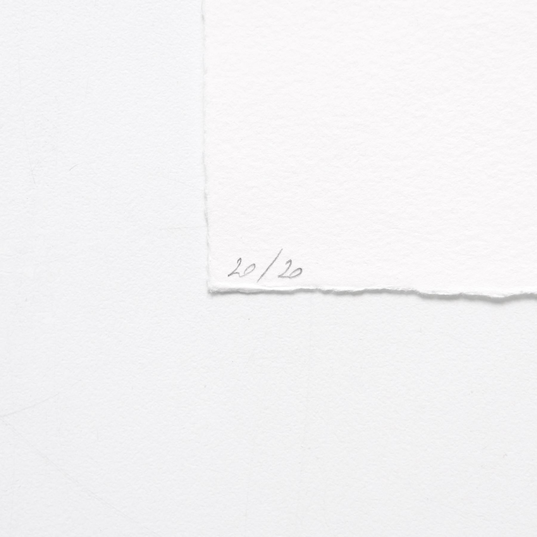 Contemporary Ricardo Lanzarini Etching 'Perfomance', 2020 For Sale