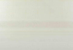 Zwei gestreifte Daunen - Acryl auf Leinwand von Riccardo Guarnieri- 1974