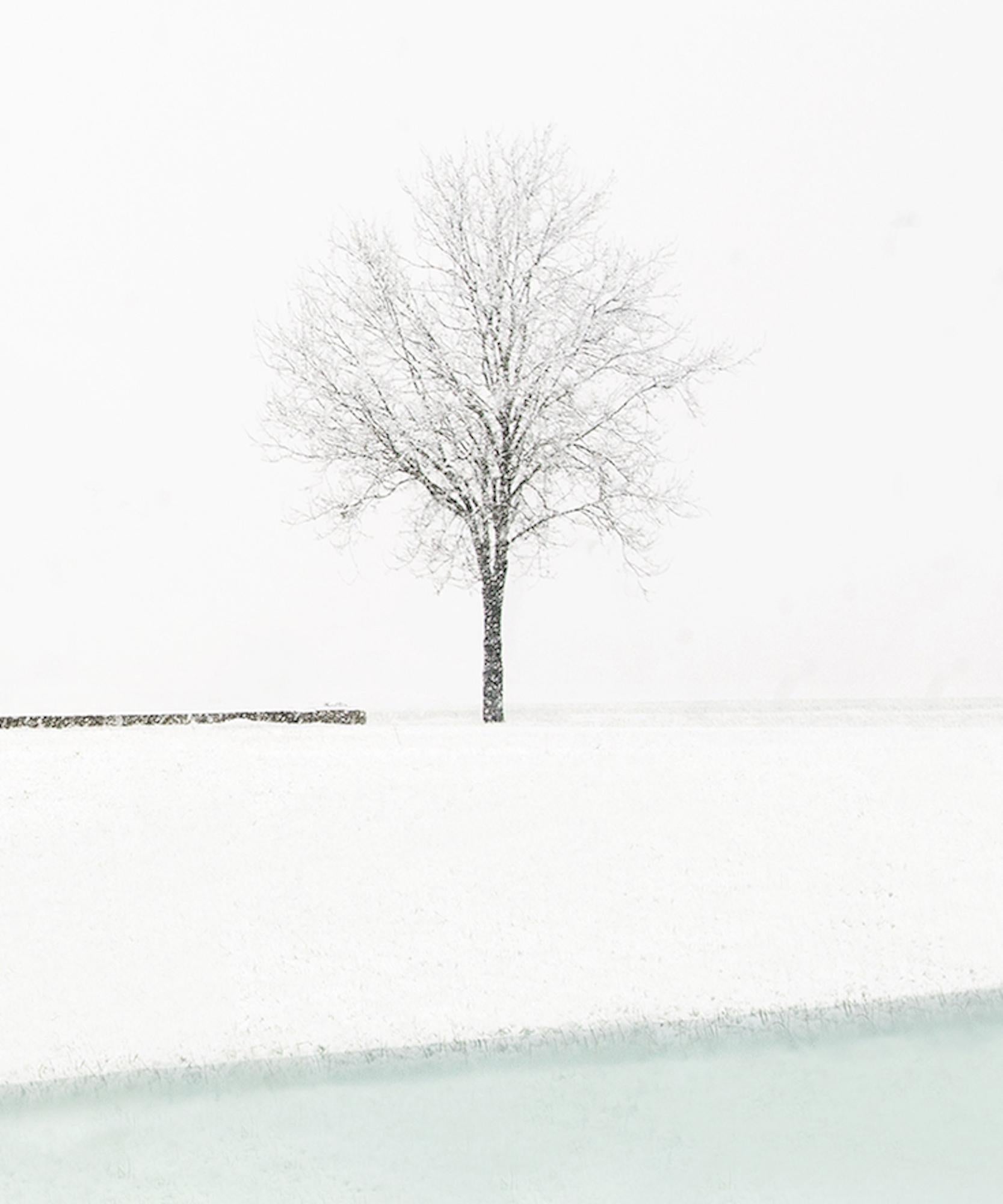 S 02-22 von Riccardo Varini – Landschaftsfotografie, Winter, Schnee, Weiß, Italien im Angebot 3