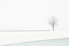 Color Photography