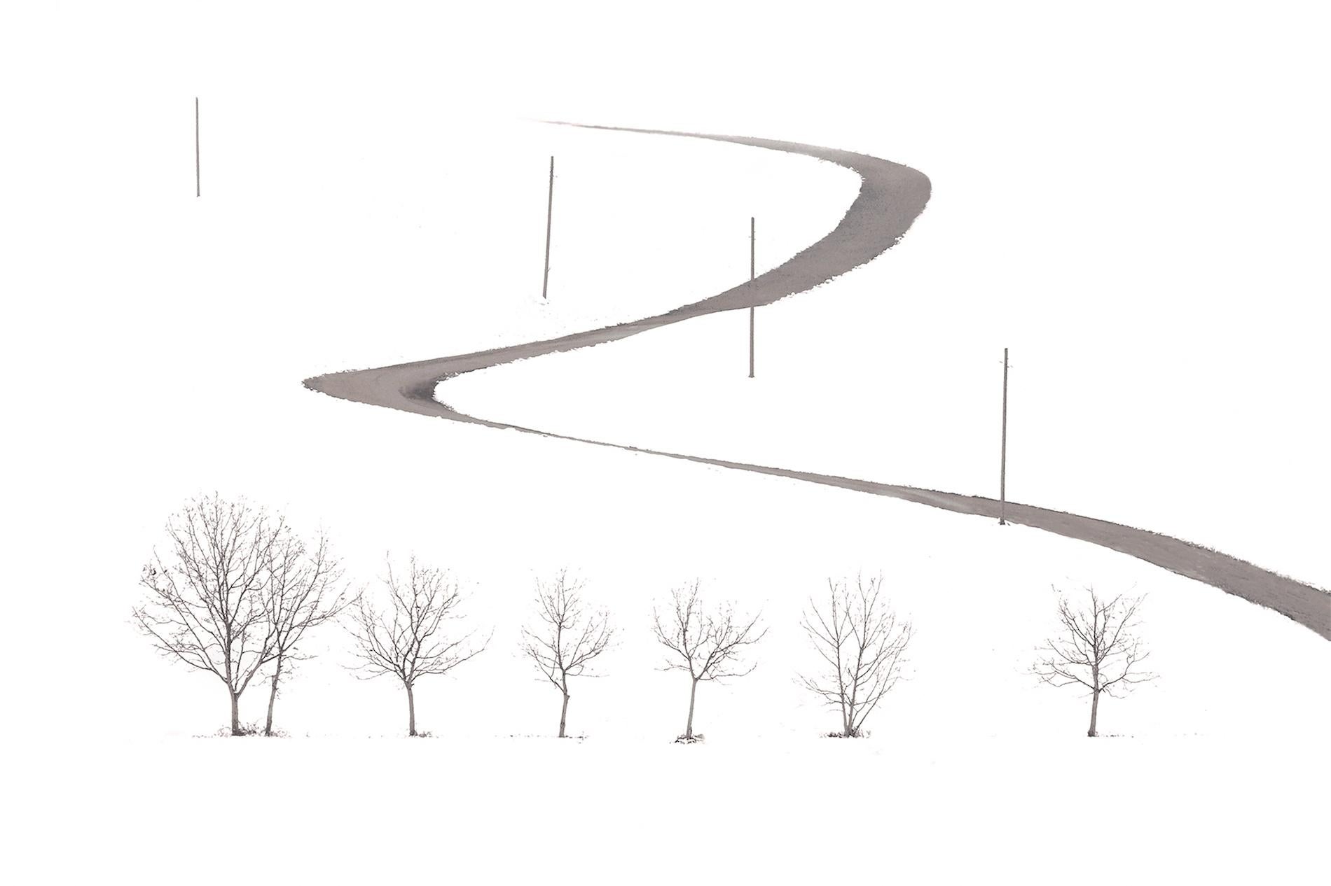 S 07-09 est une photographie en édition limitée de l
artiste contemporain français Riccardo Varini. 

Cette photographie est vendue non encadrée en tant que tirage uniquement. Il est disponible en deux tailles :
*20 × 30 cm (7.9 × 11.8 in), édition