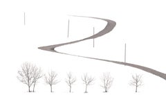 S 07-09 de Riccardo Varini - Fotografía de paisaje, invierno, nieve, árbol, Italia