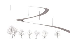 S 07-09 by Riccardo Varini - Landscape photography, winter, snow, tree, Italy