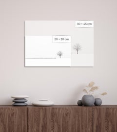 S 12-14 by Riccardo Varini - Landscape photography, winter, snow, tree, Italy