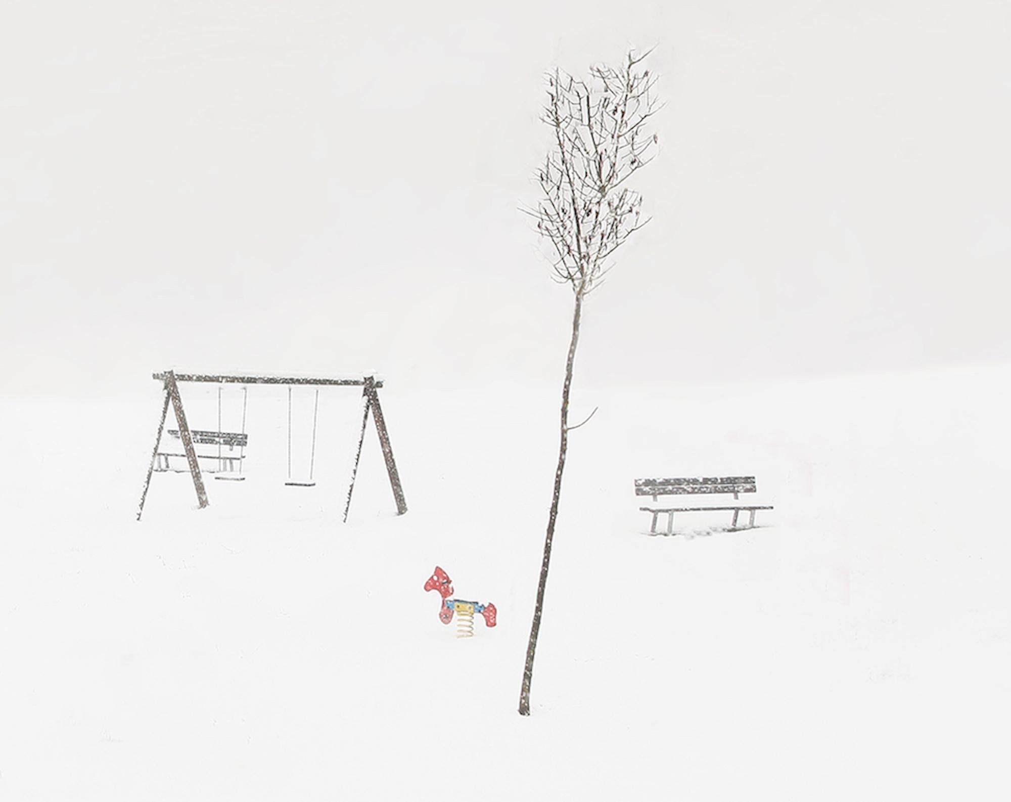 S 34-14 by Riccardo Varini - Landscape photography, winter, snow, tree, Italy 3