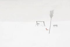 S 34-14 de Riccardo Varini - Fotografía de paisaje, invierno, nieve, árbol, Italia
