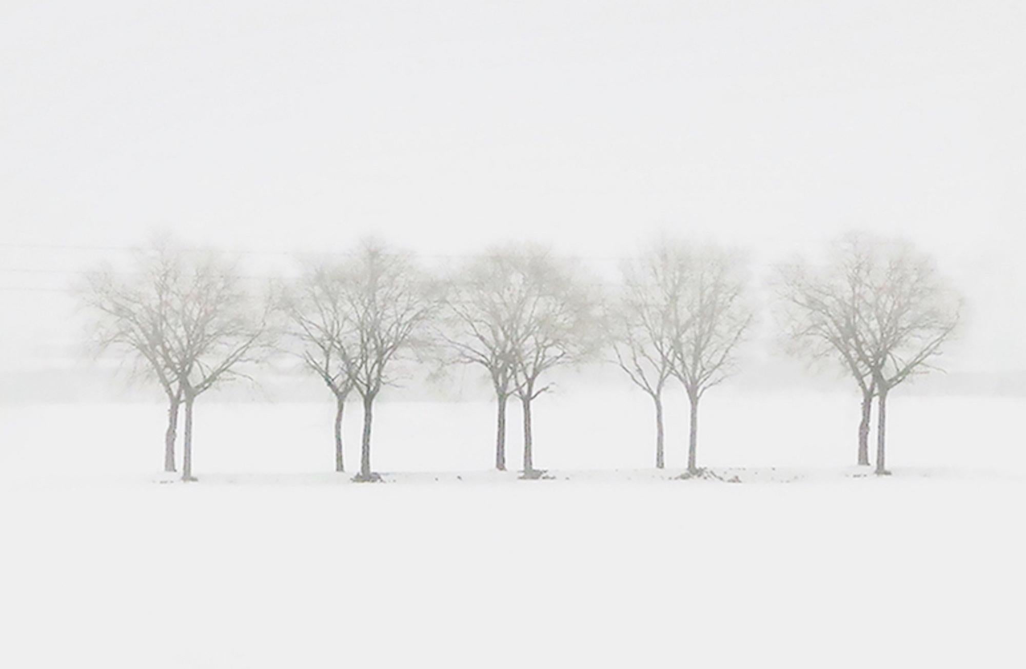 S AL 15-15 von Riccardo Varini - Landschaftsfotografie, Winter, Schnee, Baum, Italien 3