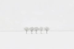 S AL 15-15 by Riccardo Varini - Landscape photography, winter, snow, tree, Italy