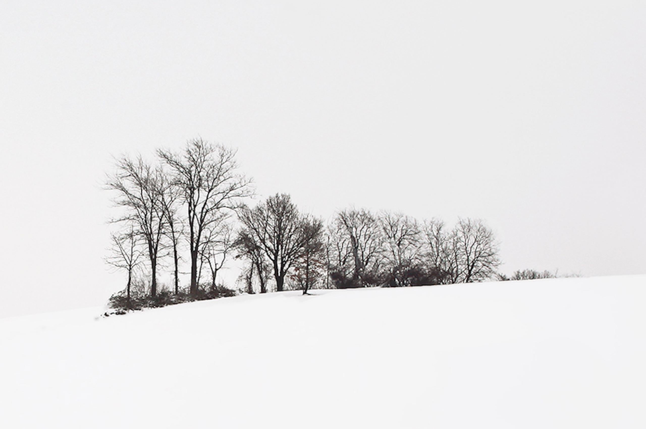 VI 01-22 de Riccardo Varini - Fotografía de paisaje, invierno, nieve, árboles, Italia 4