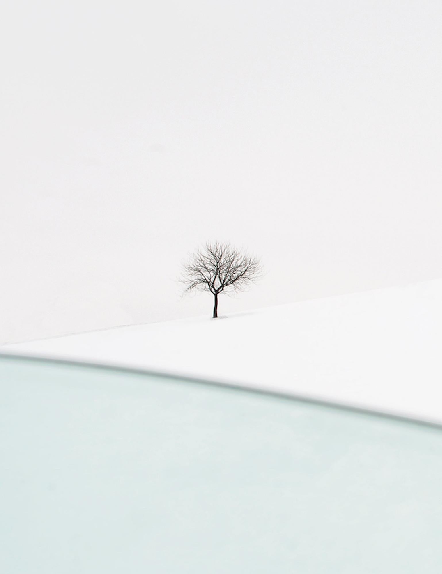 VI 01-22 de Riccardo Varini - Fotografía de paisaje, invierno, nieve, árboles, Italia 6