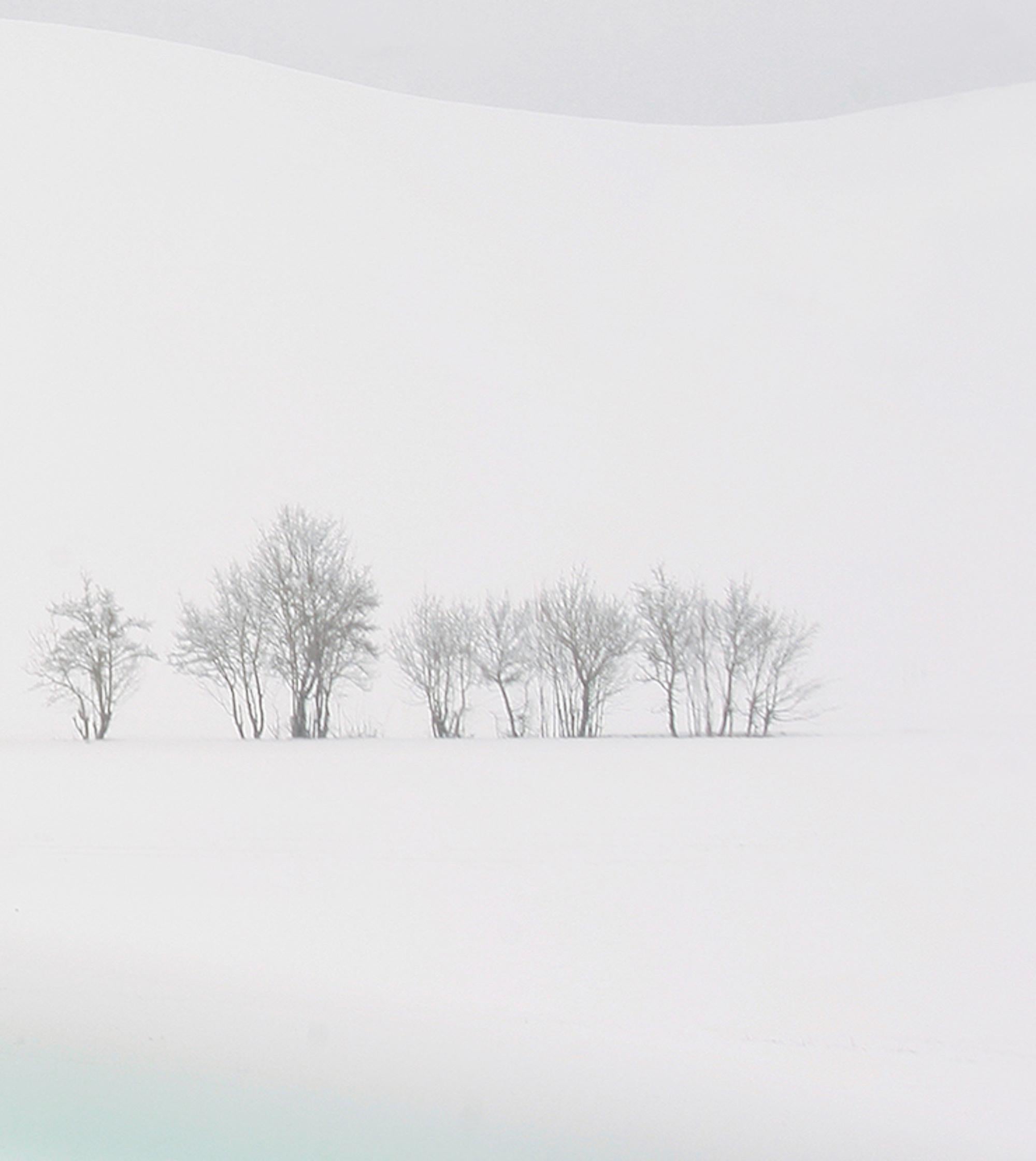 VI 02-22 by Riccardo Varini - Landscape photography, winter, snow, white, Italy 8