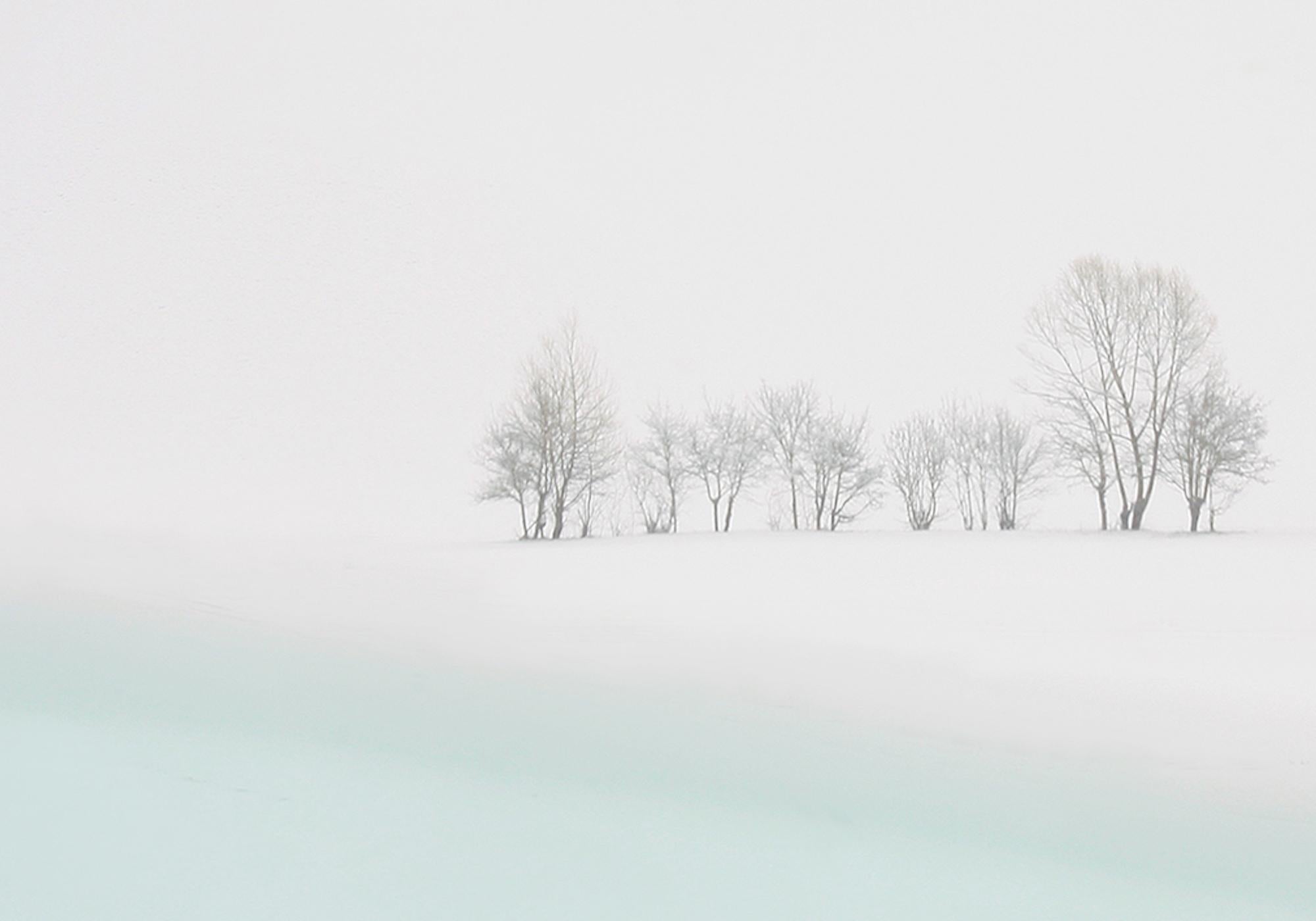 VI 02-22 by Riccardo Varini - Landscape photography, winter, snow, white, Italy 9