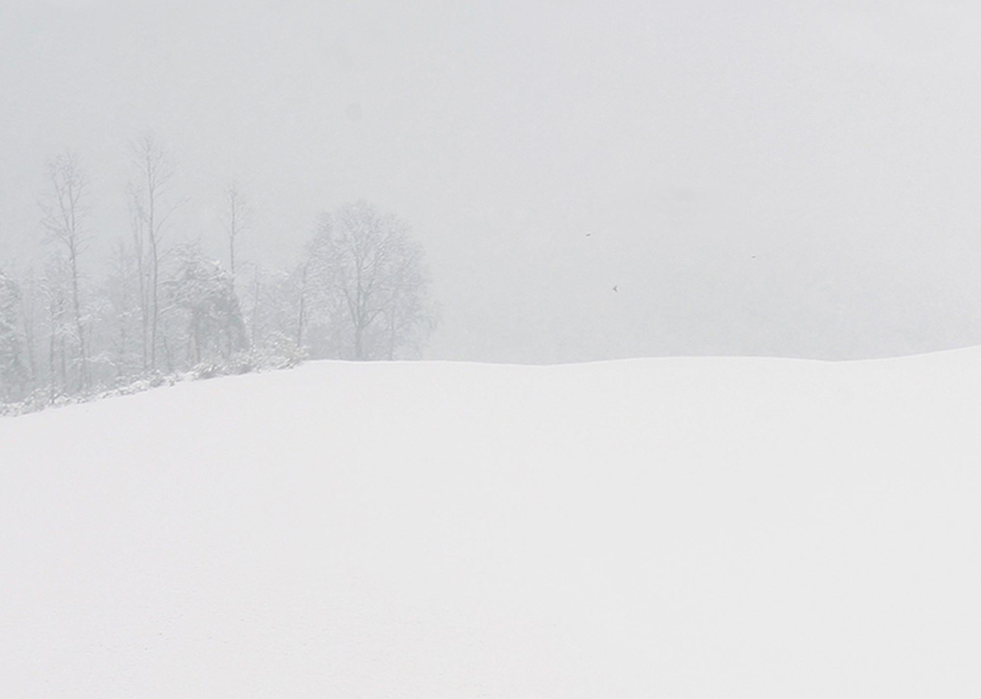 VI 02-22 by Riccardo Varini - Landscape photography, winter, snow, white, Italy 10