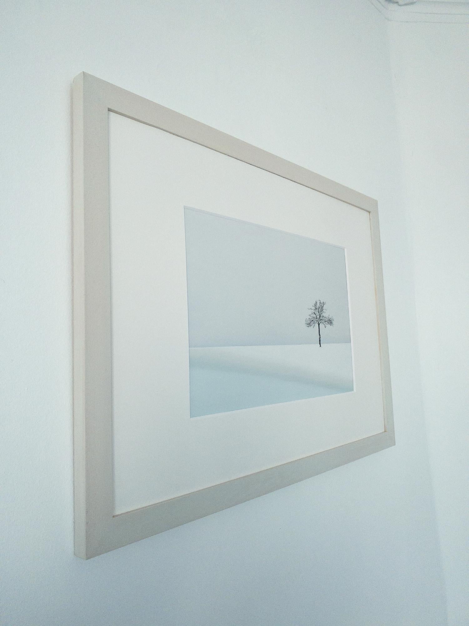 VI 03-22 by Riccardo Varini - Landscape photography, winter, snow, trees, Italy 5