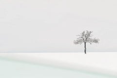 VI 03-22 by Riccardo Varini - Landscape photography, winter, snow, trees, Italy