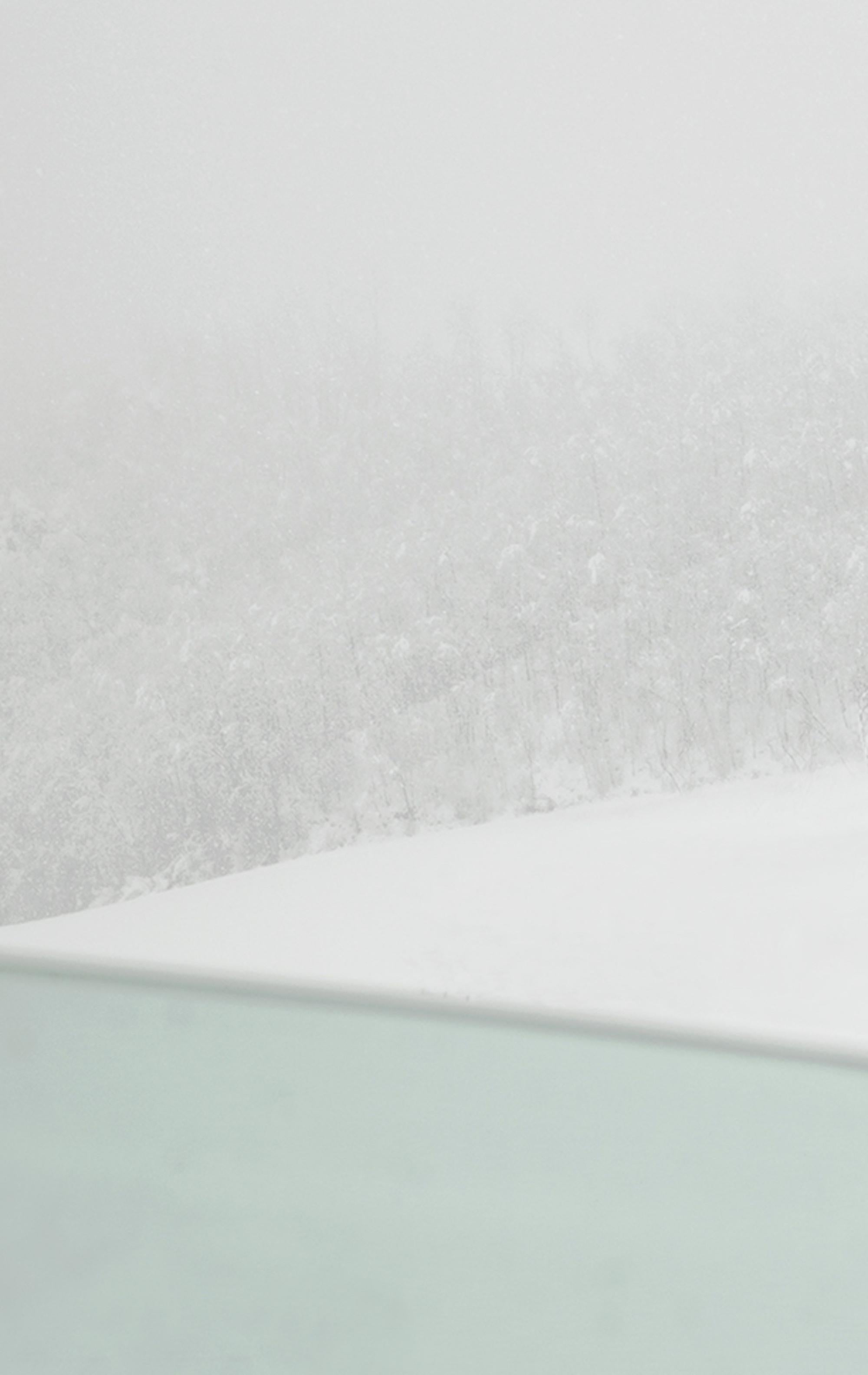 Riccardo Varini: VI 04-22, Landschaftsfotografie, Winter, Schnee, Hirsch, Italien 4