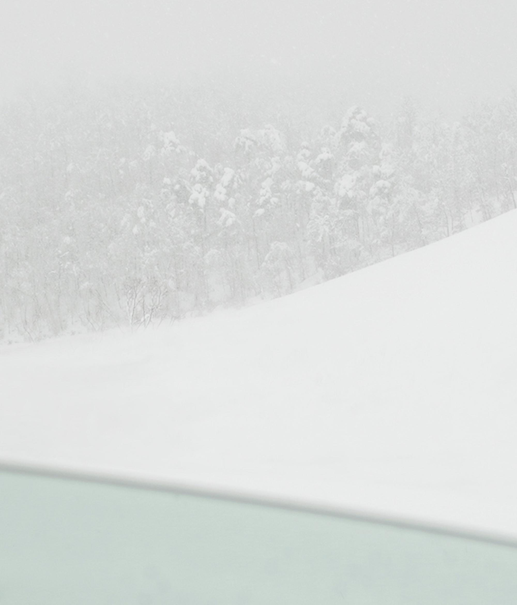 Riccardo Varini: VI 04-22, Landschaftsfotografie, Winter, Schnee, Hirsch, Italien 5