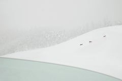 Riccardo Varini - VI 04-22 by Riccardo Varini - Landscape photography, winter, snow, deer, Italy VI 04-22 by Riccardo Varini - Landscape photography, winter, snow, deer, Italy