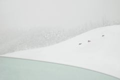 Riccardo Varini: VI 04-22, Landschaftsfotografie, Winter, Schnee, Hirsch, Italien