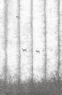 VI 12-22 by Riccardo Varini - Landscape photography, winter, snow, deer, Italy