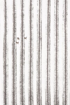 VI 13-22 de Riccardo Varini - Photographie de paysage, hiver, neige, cerfs, Italie